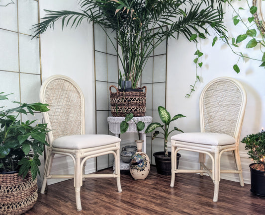 The Darjeeling Chairs