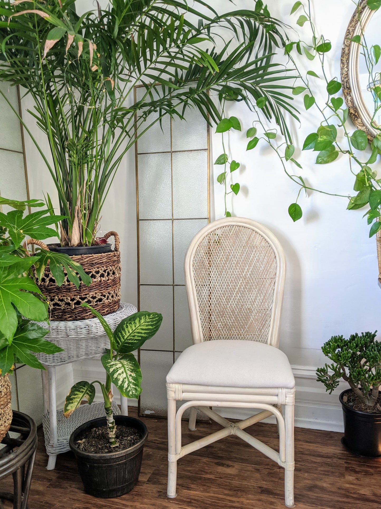 The Darjeeling Chairs