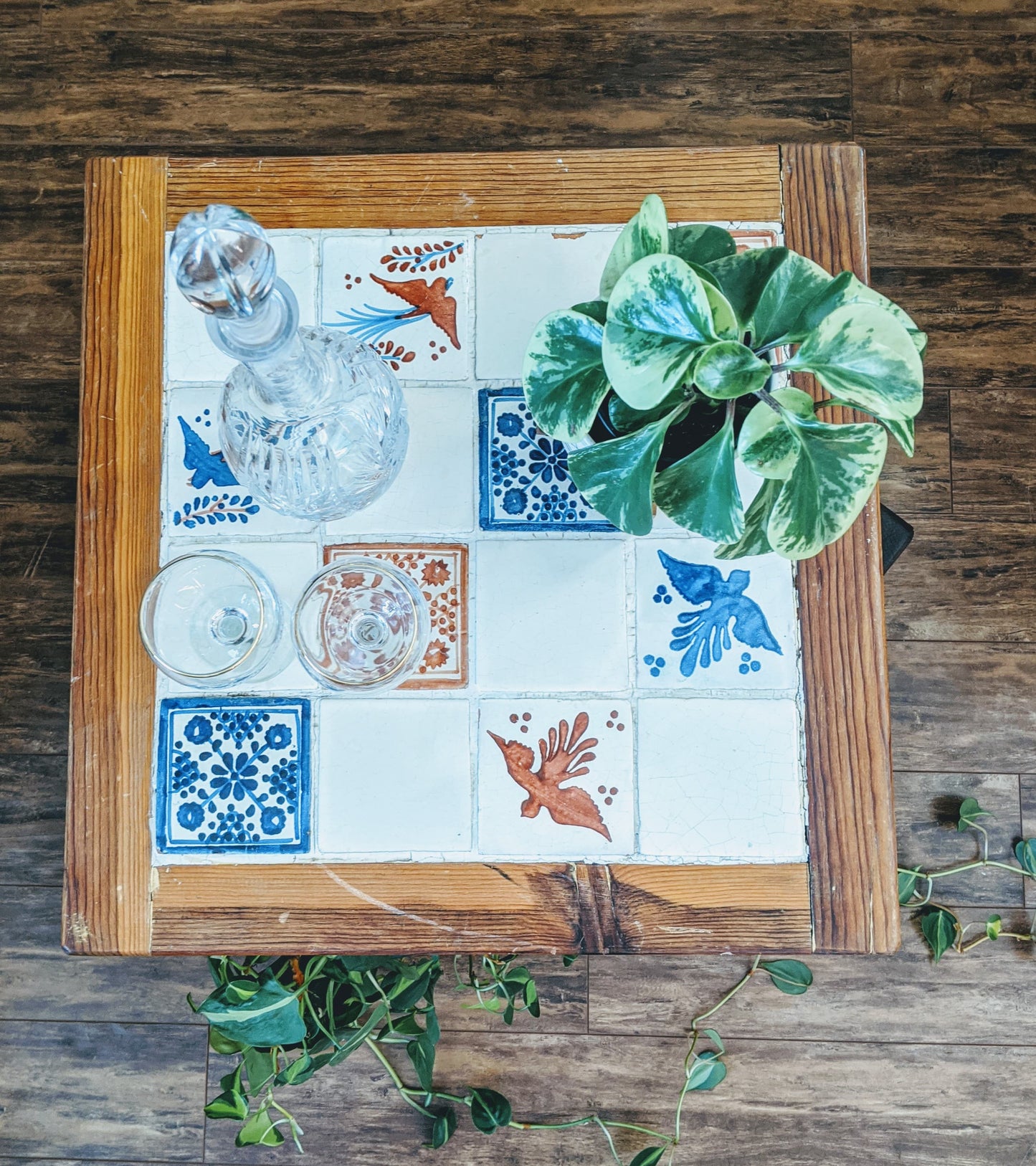 The Birds of Paradise Coffee Table