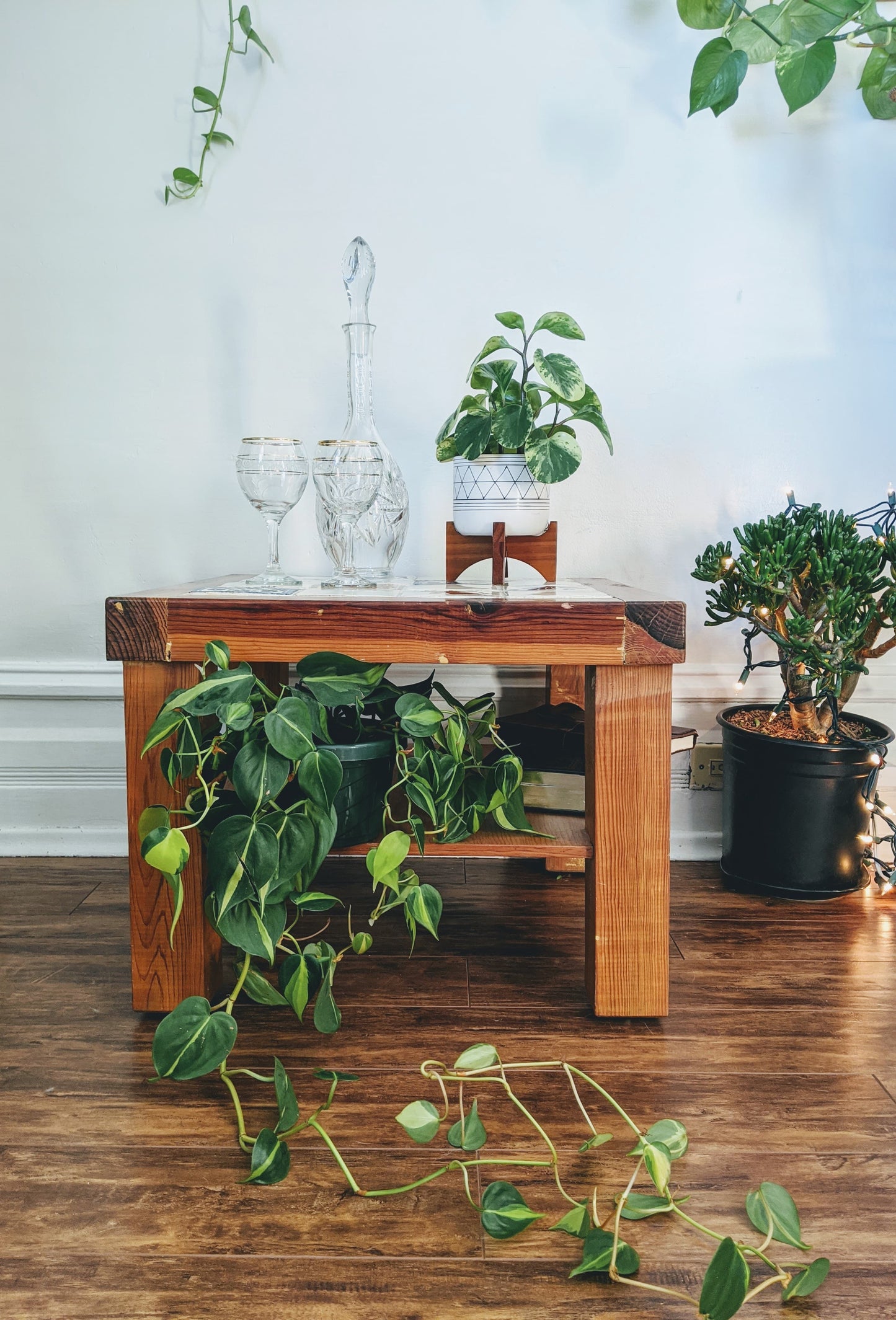 The Birds of Paradise Coffee Table