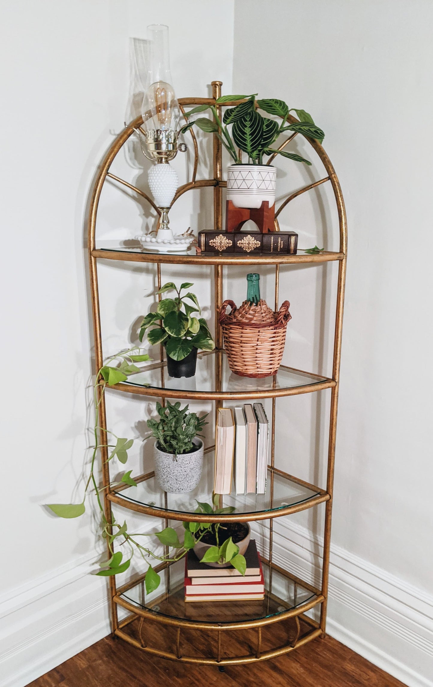 The Golden Girls Shelf
