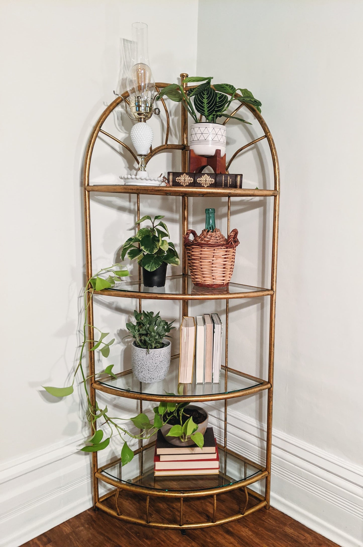 The Golden Girls Shelf