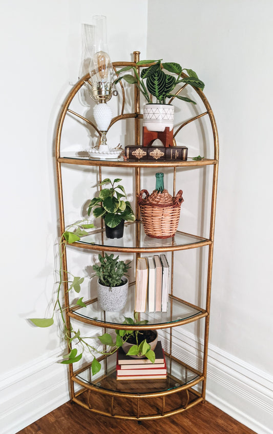 The Golden Girls Shelf