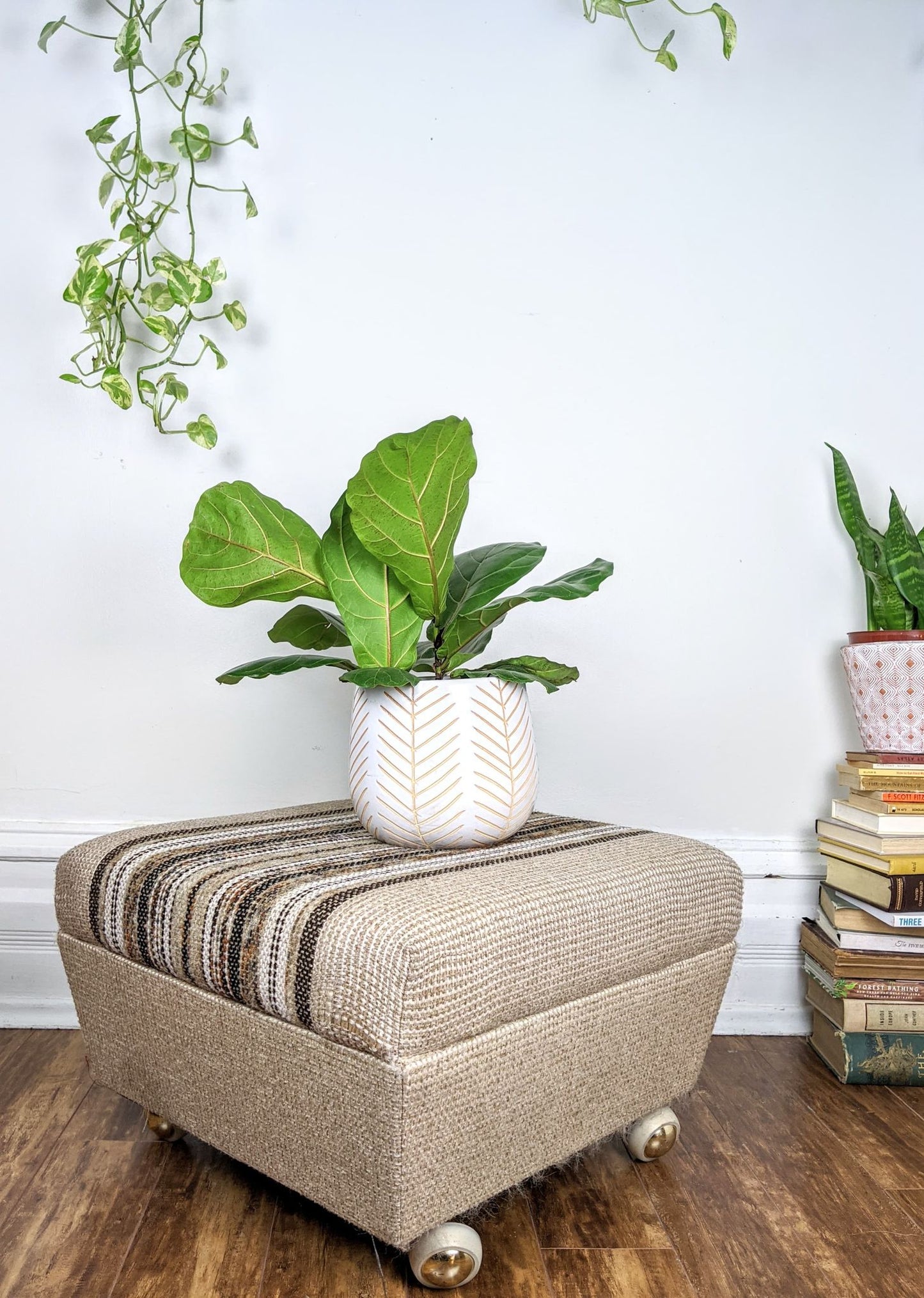 The Terrence Ottoman