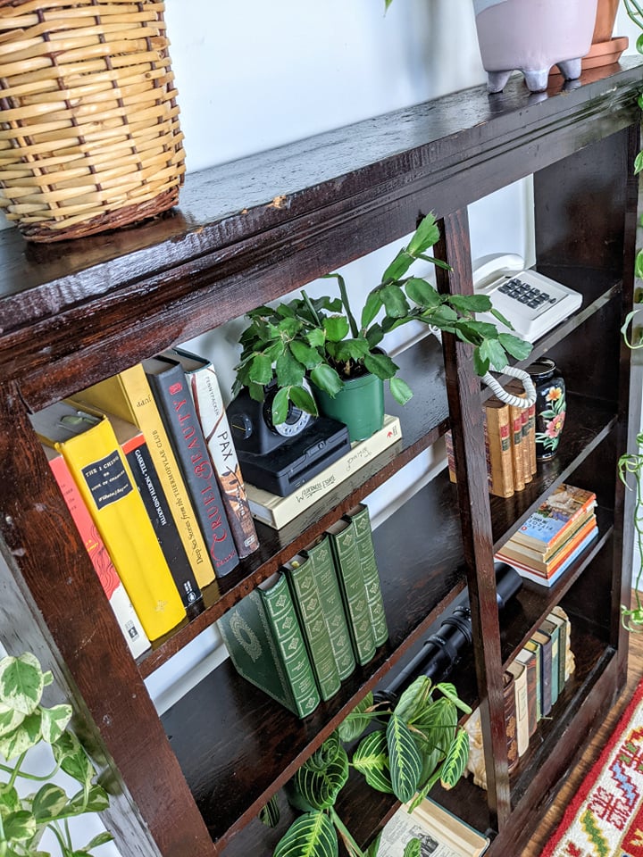 The Hugo Shelf