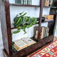 The Hugo Shelf