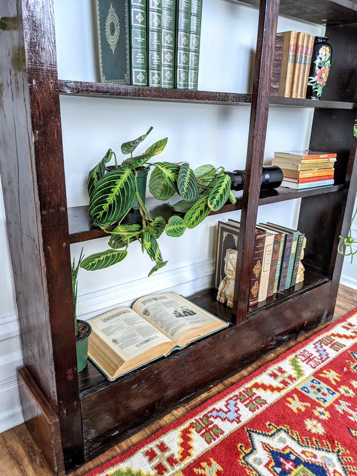 The Hugo Shelf