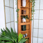 The Rosenbaum Corner Shelf