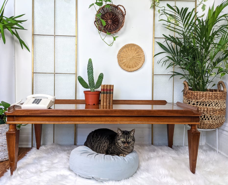 The Veloce Coffee Table