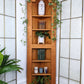 The Rosenbaum Corner Shelf