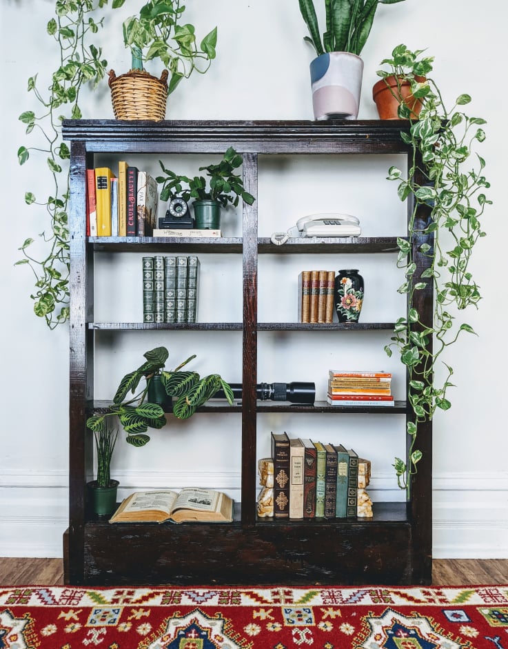 The Hugo Shelf