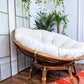 The Papasan Chair