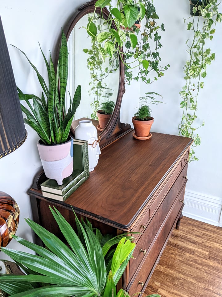 The Walnut Vanity Dresser