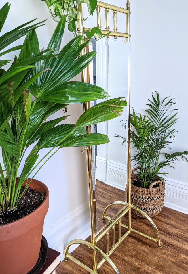 The Michelangelo Mirror