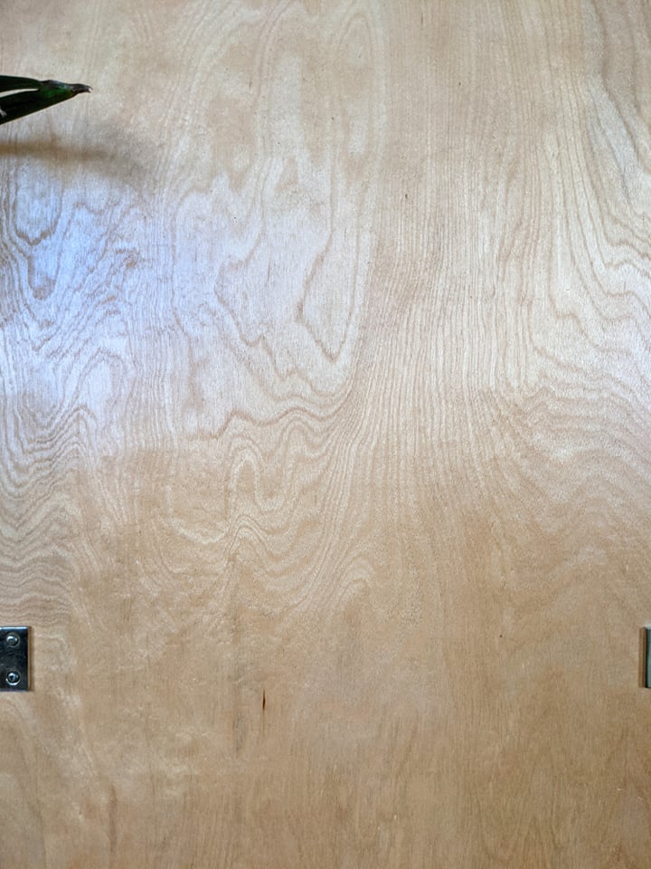 The Michelangelo Mirror