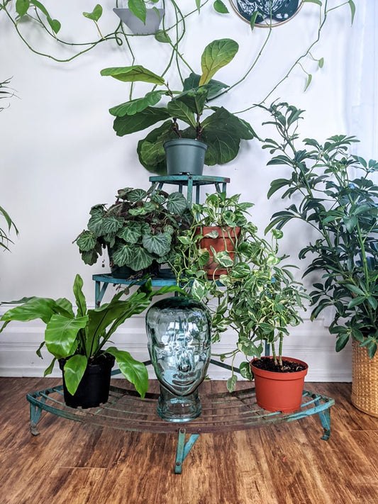 The Central Park Plant Stand