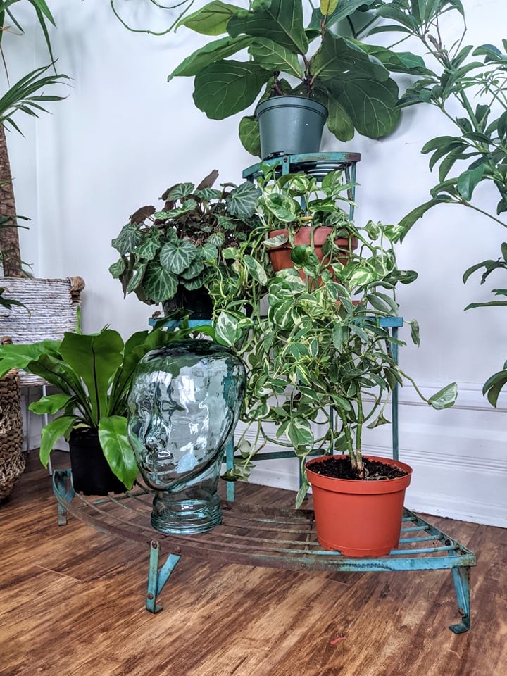 The Central Park Plant Stand