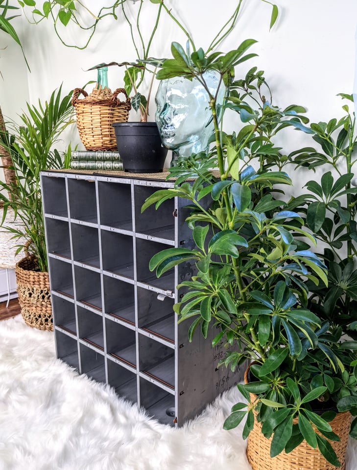 The Cargo Hold Postman Shelf