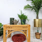The Marrakesh Rattan Table