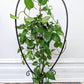 The Sabo Plant Hanger