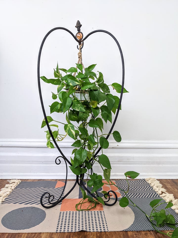 The Sabo Plant Hanger
