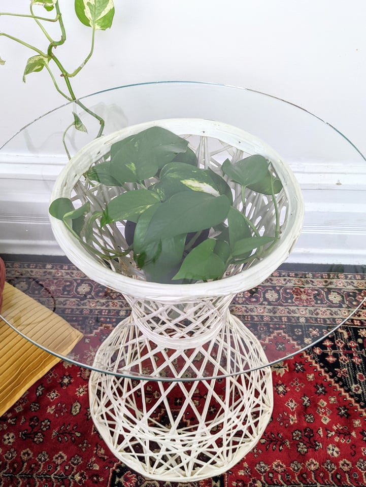 The Russell Plant Stand