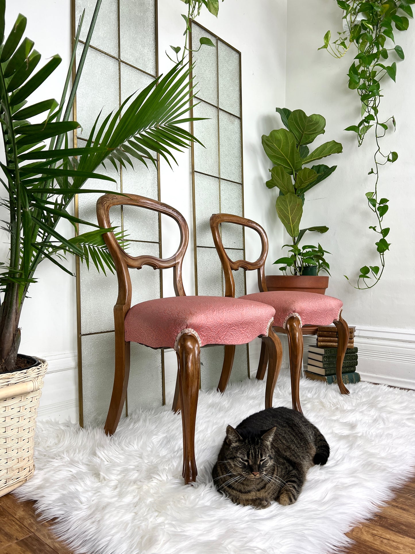 The Pink Balloon Chairs