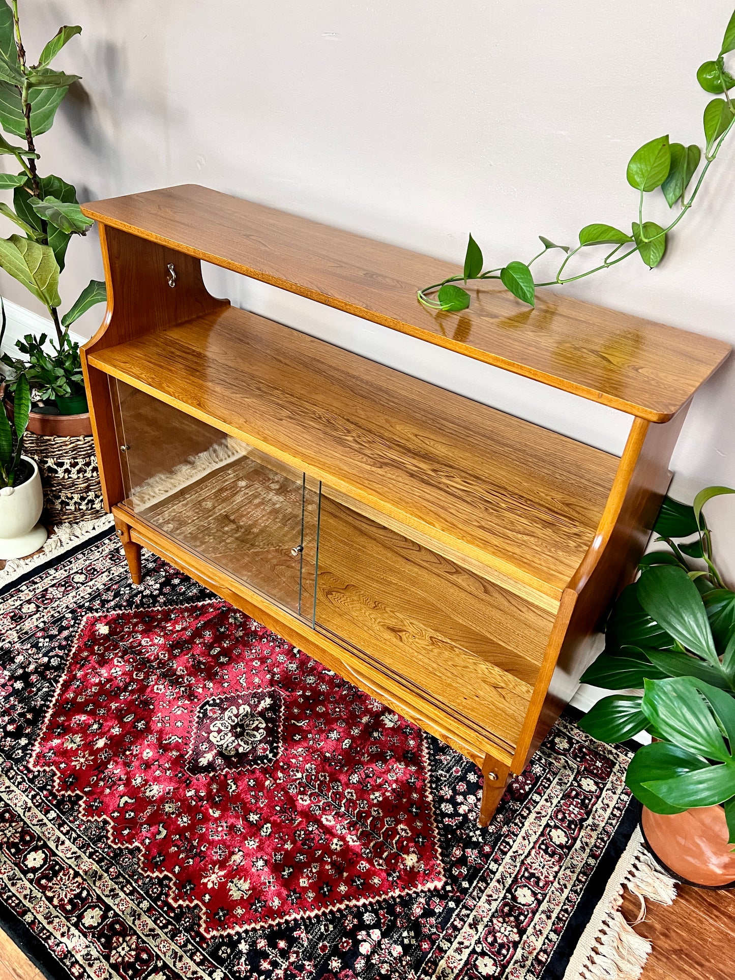 The Sampson Cabinet