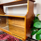 The Sampson Cabinet