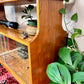 The Sampson Cabinet