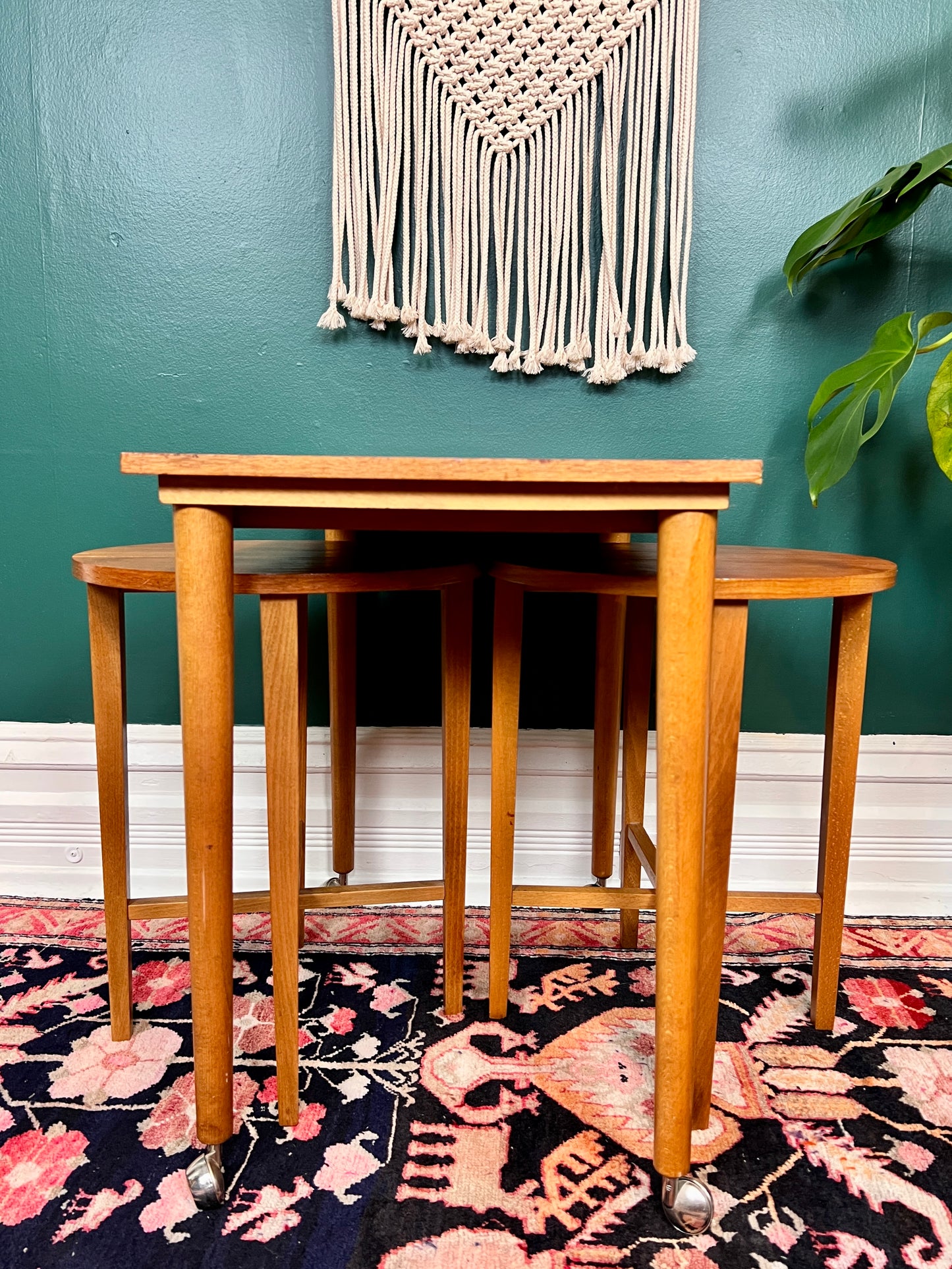 Terry & His Two Teak Buddies