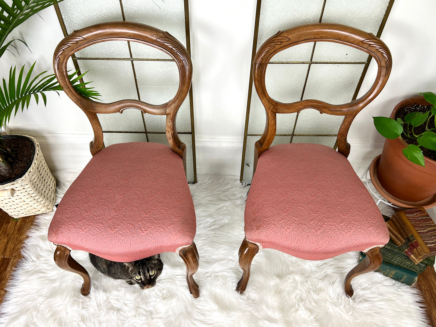 The Pink Balloon Chairs