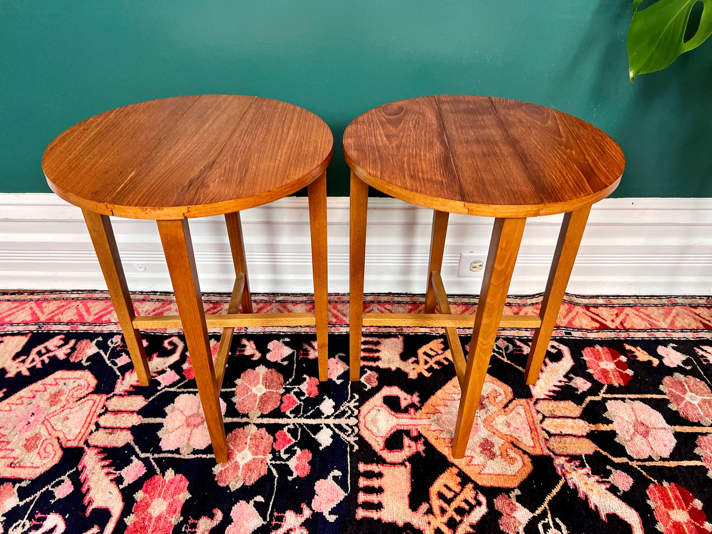 Terry & His Two Teak Buddies