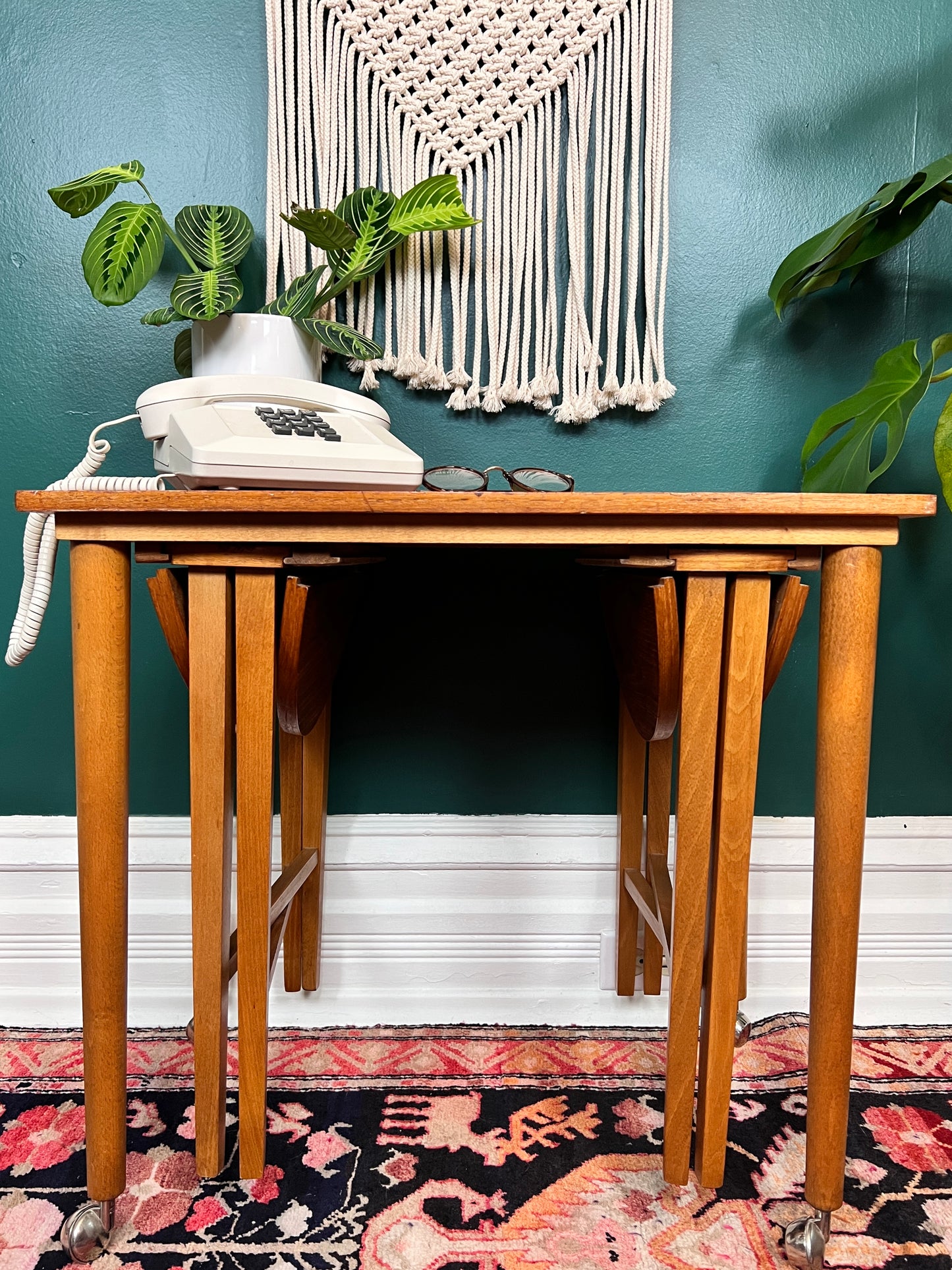 Terry & His Two Teak Buddies