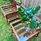 The Mitzi Side Tables