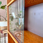 The Josefina Bookshelf