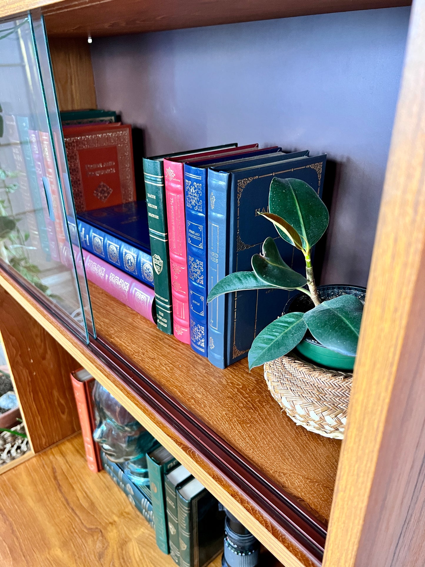 The Josefina Bookshelf