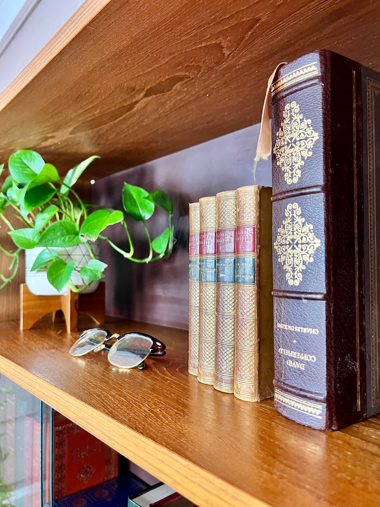 The Josefina Bookshelf