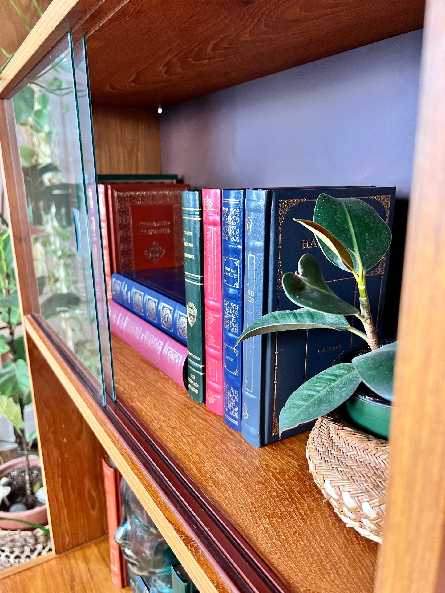 The Josefina Bookshelf