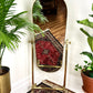 The Gimblet Mirror