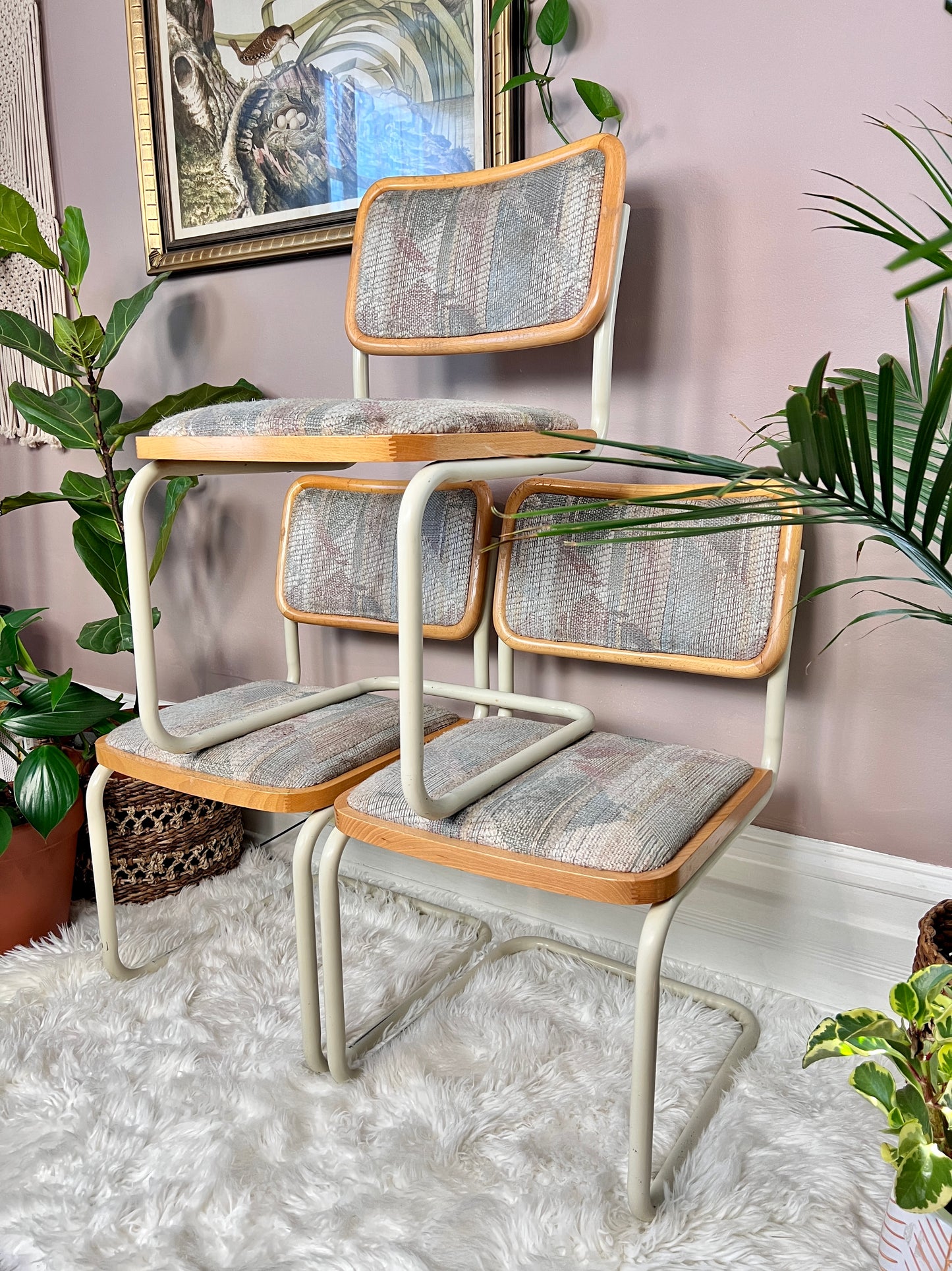 The Sofia Cantilever Chairs
