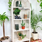 The Boho White Wicker Shelf