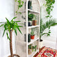 The Boho White Wicker Shelf