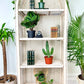 The Boho White Wicker Shelf