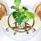 The Pure Joy Dining Set