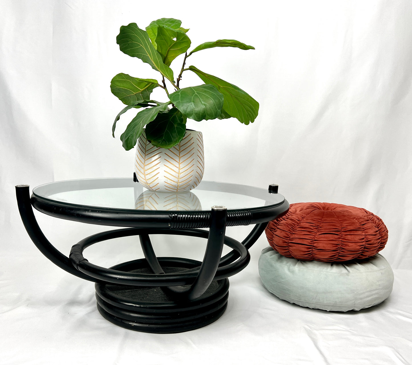 The Black Cat Coffee Table