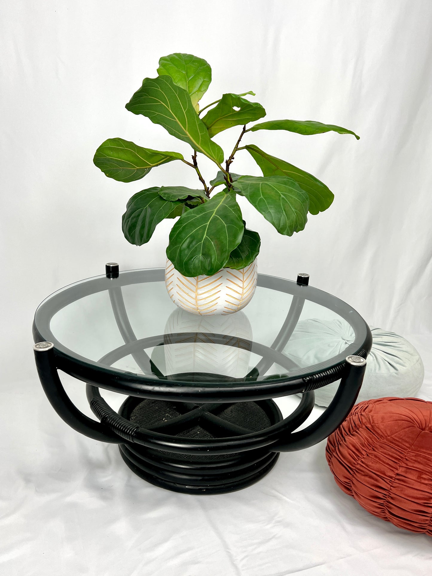 The Black Cat Coffee Table