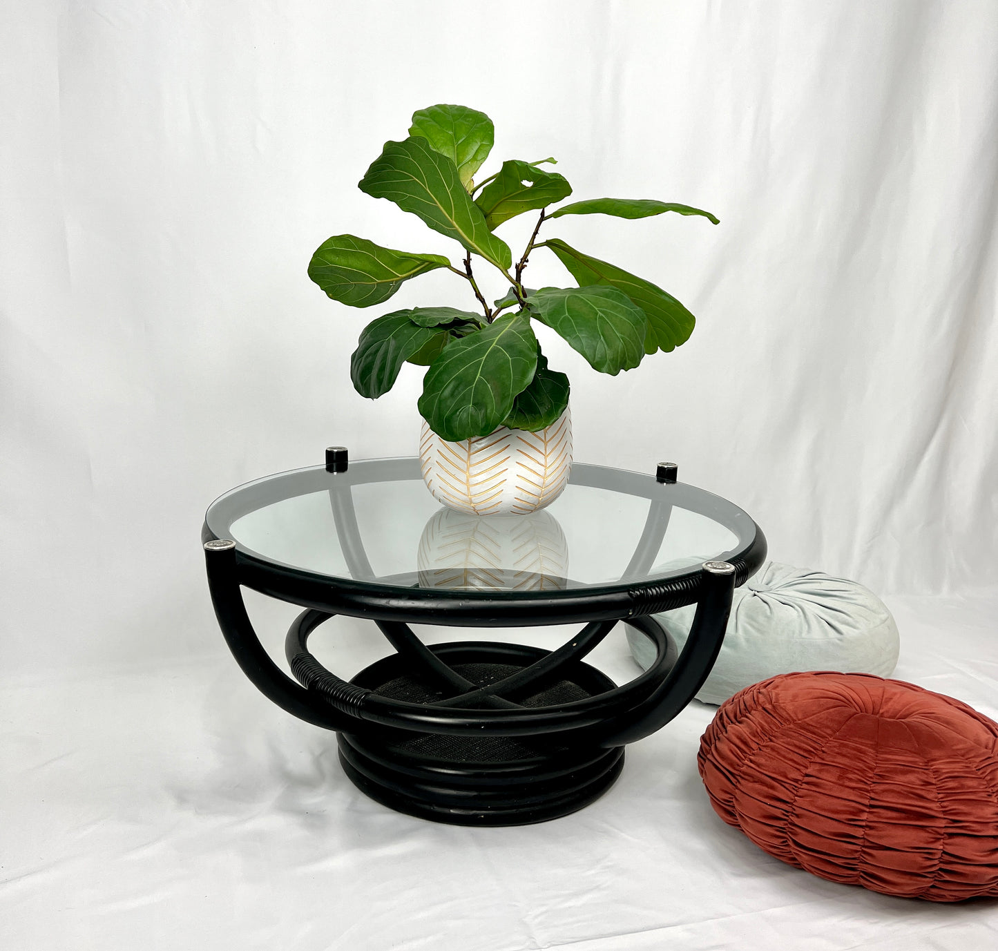 The Black Cat Coffee Table