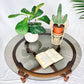 The Tacao Coffee Table