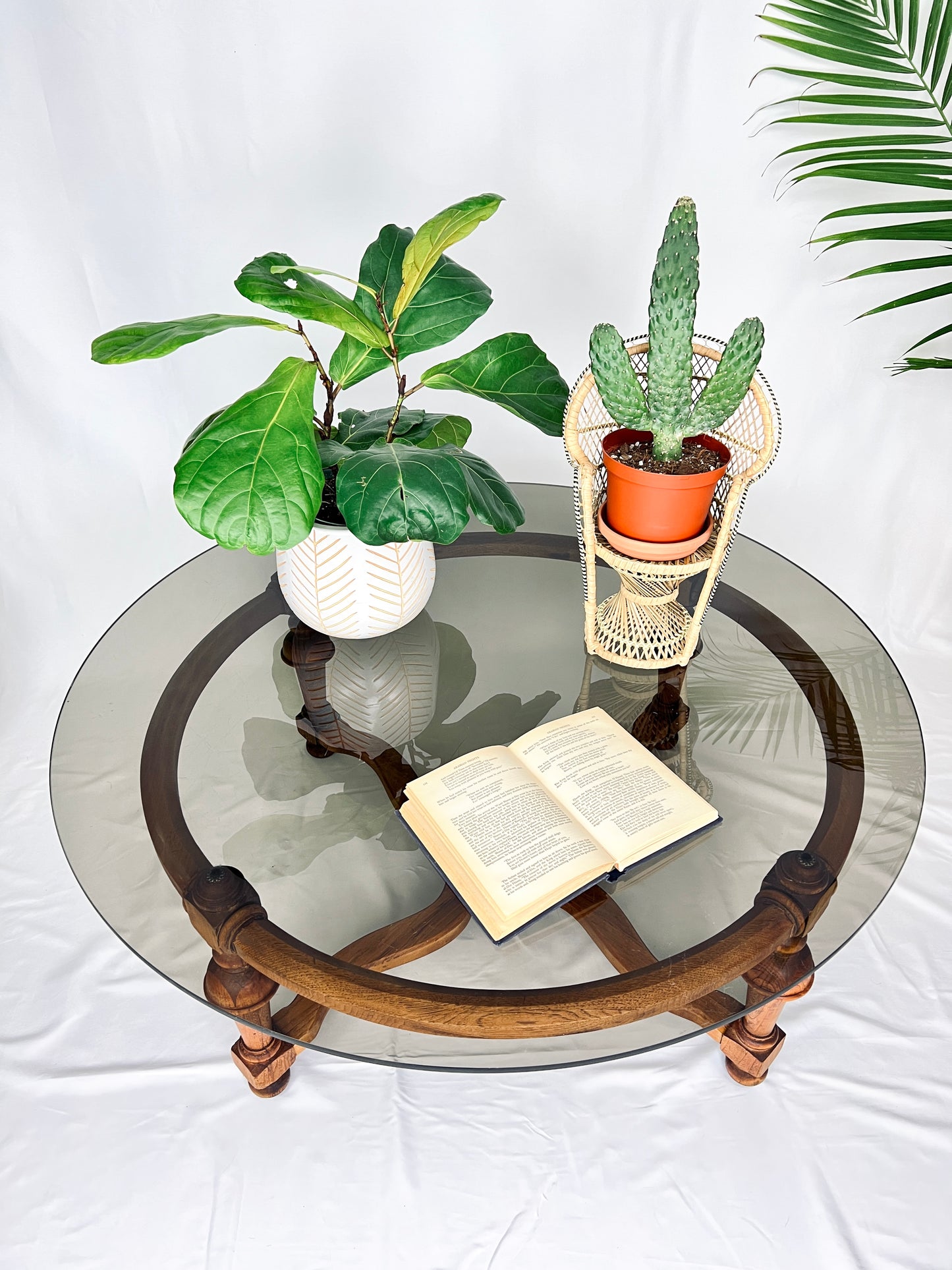 The Tacao Coffee Table